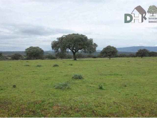 Terreno en venta en Cáceres