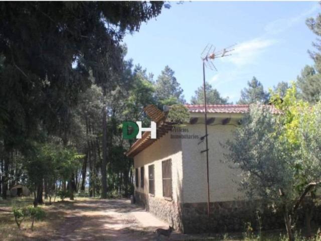 Terreno en venta en Cáceres, Extremadura
