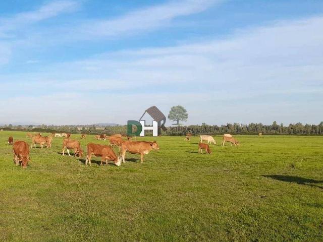 Terreno en venta en Cáceres, Extremadura