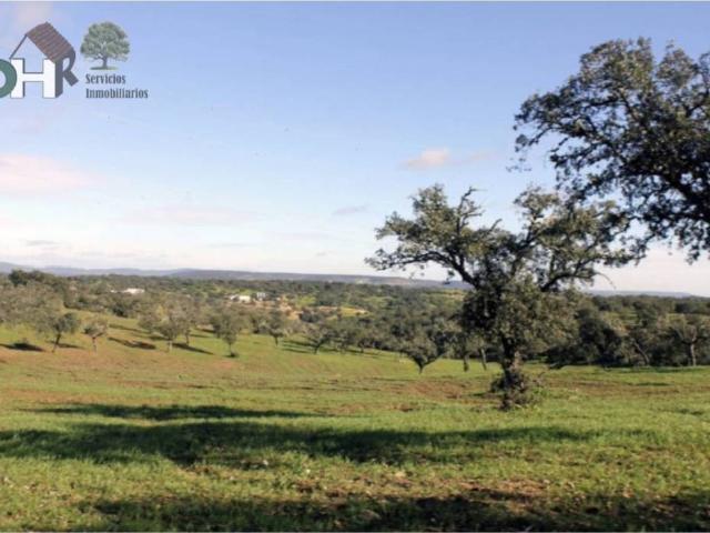 Terreno en venta en Cáceres, Extremadura