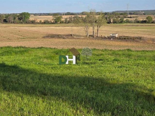 Terreno en venta en Cáceres