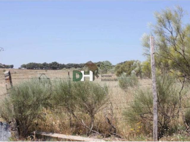 Terreno en venta en Cáceres