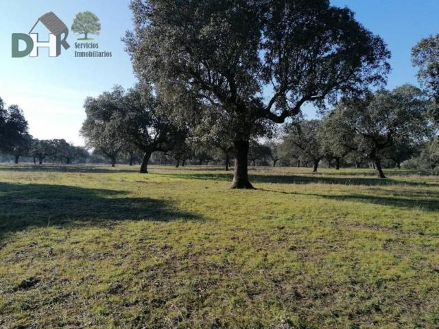 Terreno en venta en Cáceres