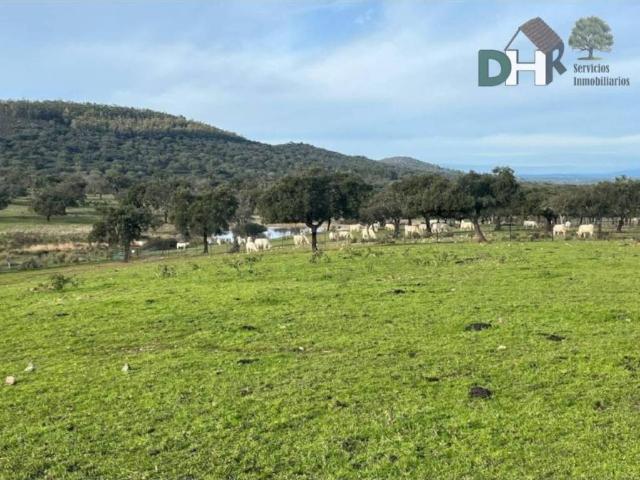 Terreno en venta en Cáceres