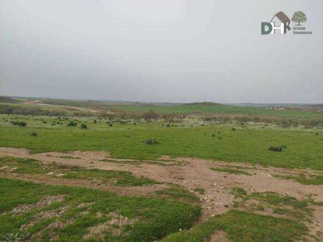 Terreno en venta en Cáceres