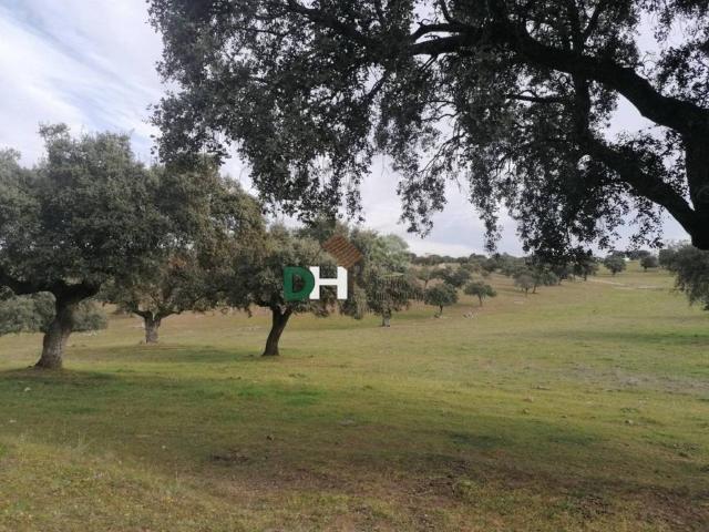 Terreno en venta en Cáceres, Extremadura
