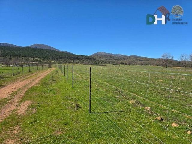 Terreno en venta en Cáceres, Extremadura
