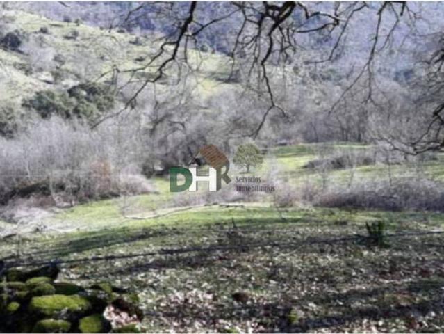 Terreno en venta en Cáceres, Extremadura