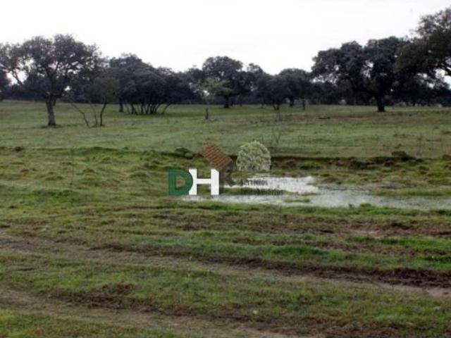 Terreno en venta en Cáceres, Extremadura