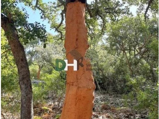 Terreno en venta en Cáceres