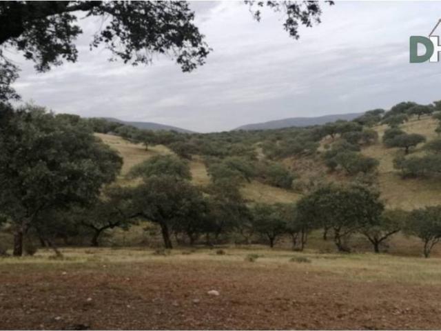 Terreno en venta en Cáceres, Extremadura