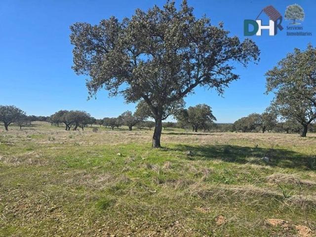 Terreno en venta en Cáceres, Extremadura
