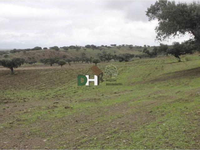 Terreno en venta en Cáceres