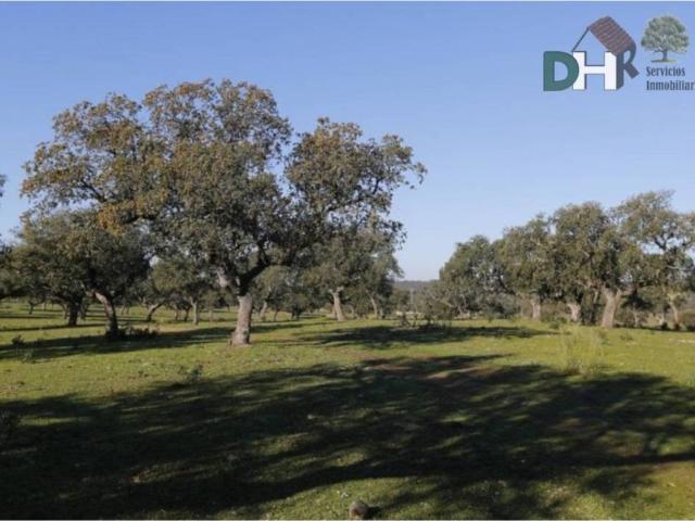 Terreno en venta en Cáceres