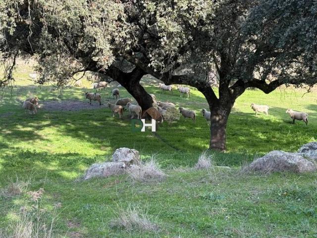 Terreno en venta en Cáceres, Extremadura