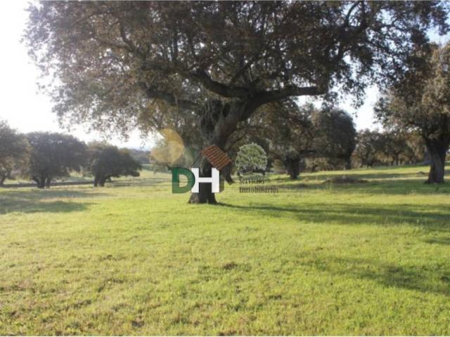 Terreno en venta en Cáceres