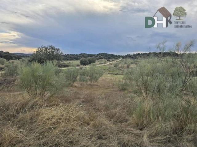 Terreno en venta en Cáceres