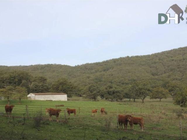 Terreno en venta en Cáceres, Extremadura