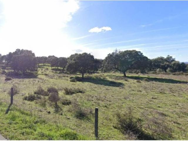 Terreno en venta en Cáceres