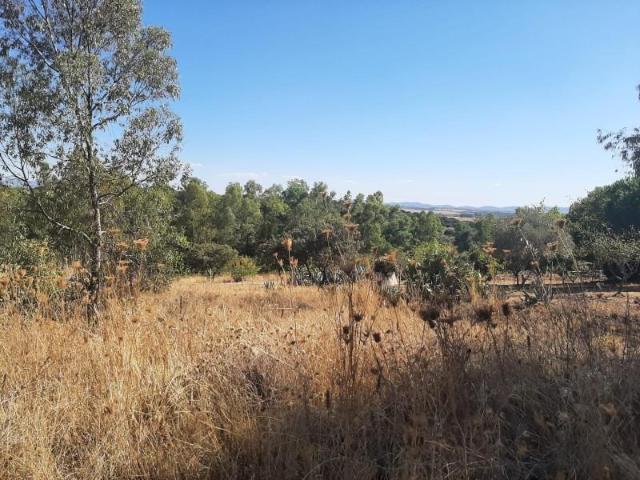 Terreno en venta en Ceres Golf, Cáceres