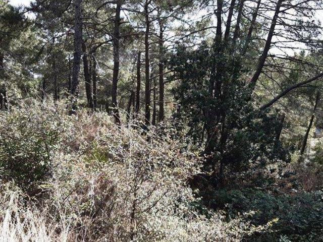 Terreno en venta en Cadalso De Los Vidrios, Entrepinos
