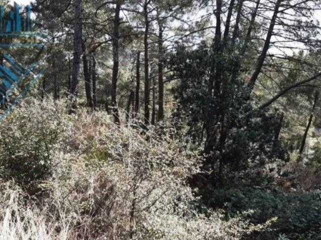 Terreno en venta en Cadalso De Los Vidrios