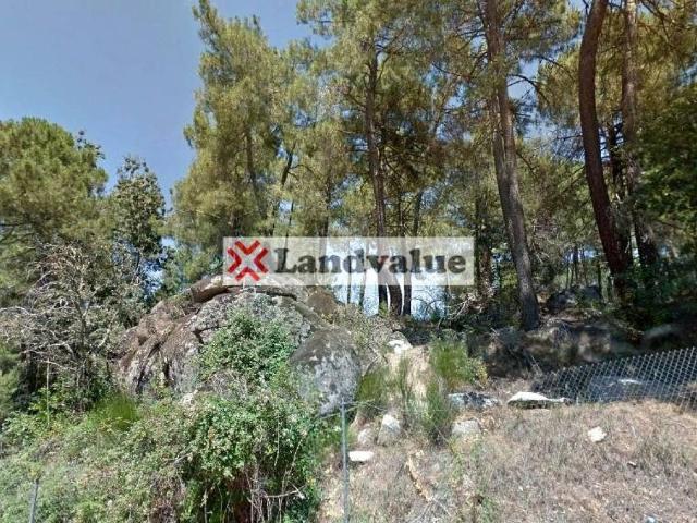 Terreno en venta en Cadalso De Los Vidrios, Entrepinos