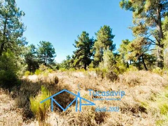 Terreno en venta en Cadalso De Los Vidrios, Madrid