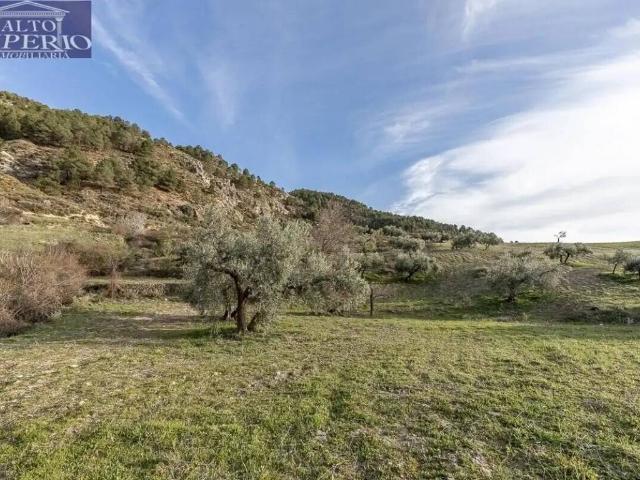Terreno en venta en Comarca de la Vega de Granada, Andalucía