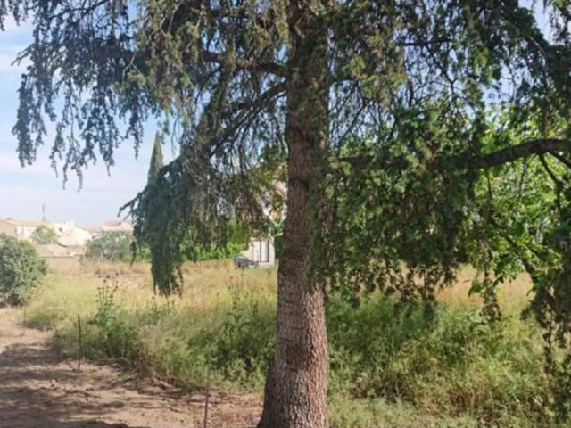 Terreno en venta en Comarca de la Vega de Granada, Andalucía