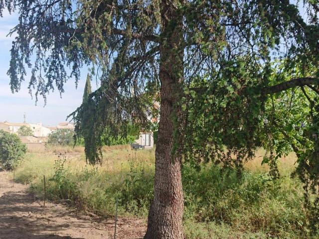 Terreno en venta en Bellavista, Comarca de la Vega de Granada