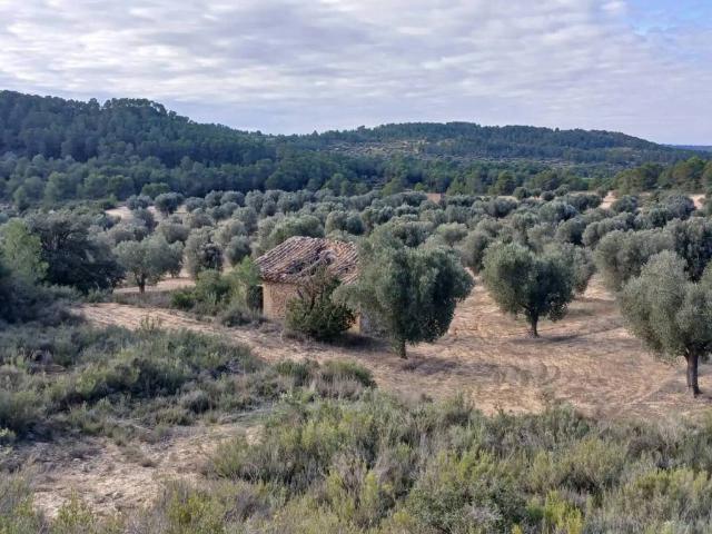 Terreno en venta en Matarraña / Matarranya, Calaceite