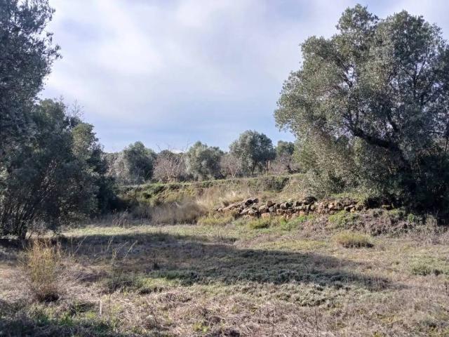 Terreno en venta en Matarraña / Matarranya, Calaceite