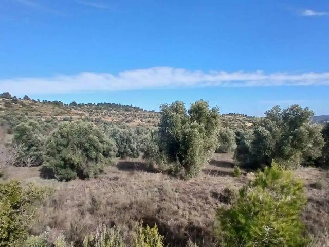 Terreno en venta en Matarraña / Matarranya, Calaceite