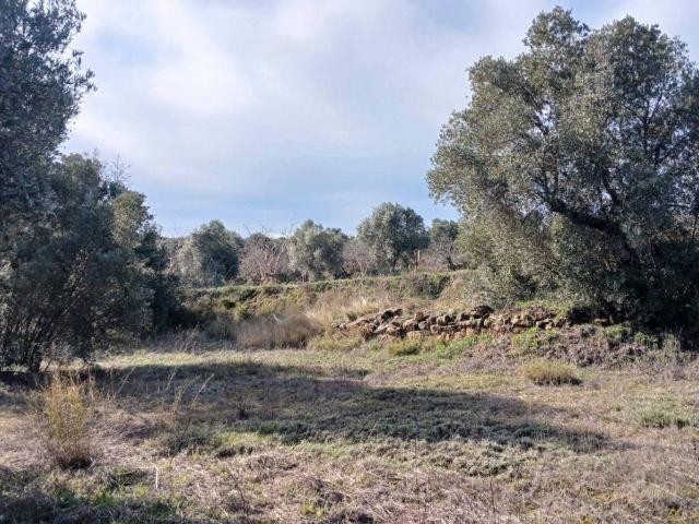 Terreno en venta en Matarraña / Matarranya, Calaceite
