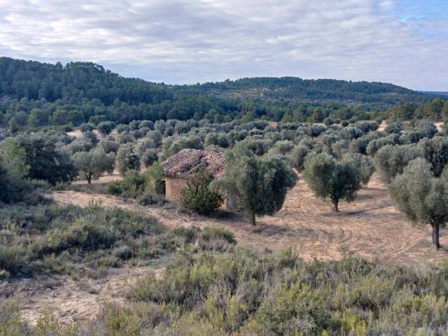 Terreno en venta en Matarraña / Matarranya, Calaceite