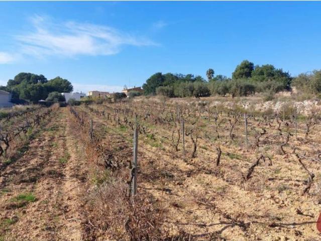 Terreno en venta en Segur de Dalt, Baix Penedès