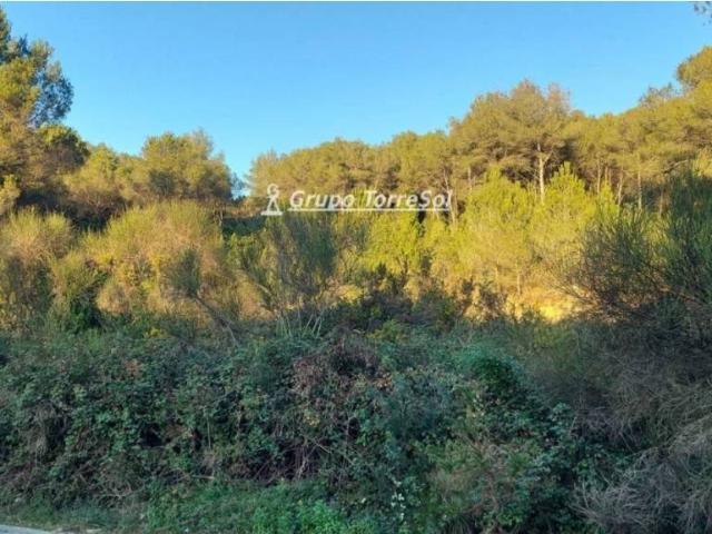 Terreno en venta en Baix Penedès, Catalunya