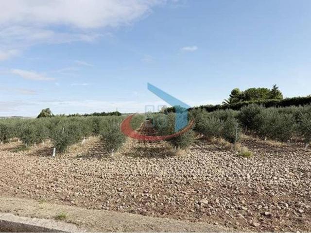 Terreno en venta en Calahorra, La Rioja
