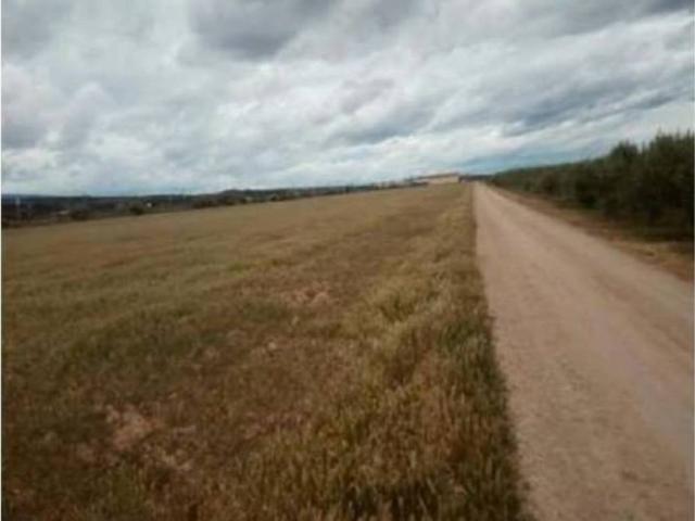 Terreno en venta en Calahorra, La Rioja
