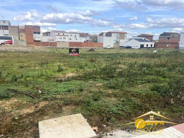 Terreno en venta en Calamonte Terreno en venta en Calamonte