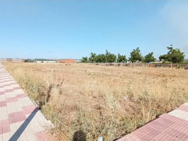 Terreno en venta en Calamonte Terreno en venta en Calamonte