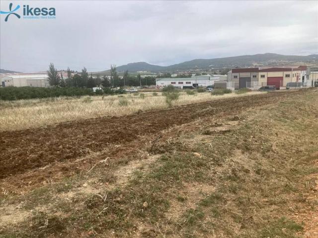Terreno en venta en Calamonte Terreno en venta en Calamonte