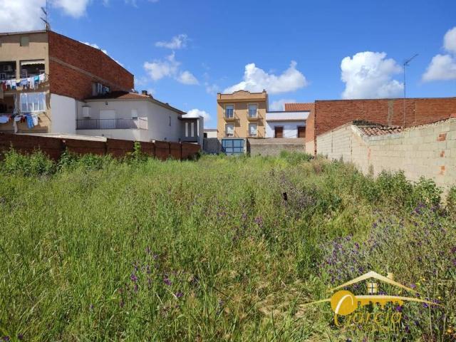 Terreno en venta en Calamonte Terreno en venta en Calamonte
