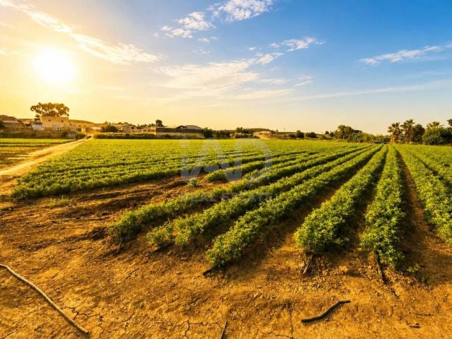 Terreno en venta en Noroeste, Murcia