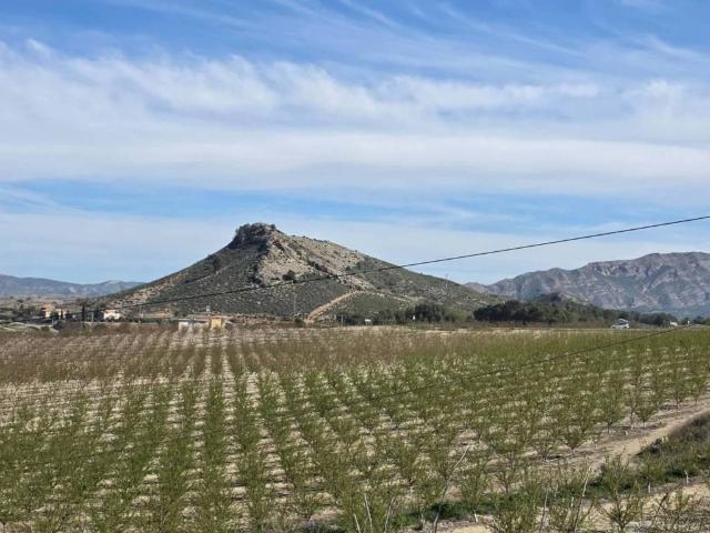 Terreno en venta en Noroeste, Murcia