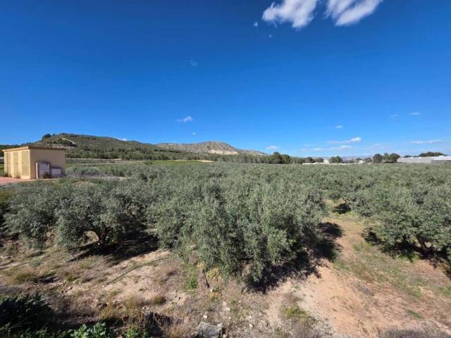Terreno en venta en Noroeste, Murcia