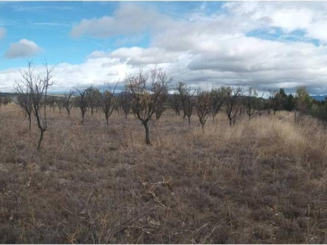 Terreno en venta en Comunidad de Calatayud, Aragón