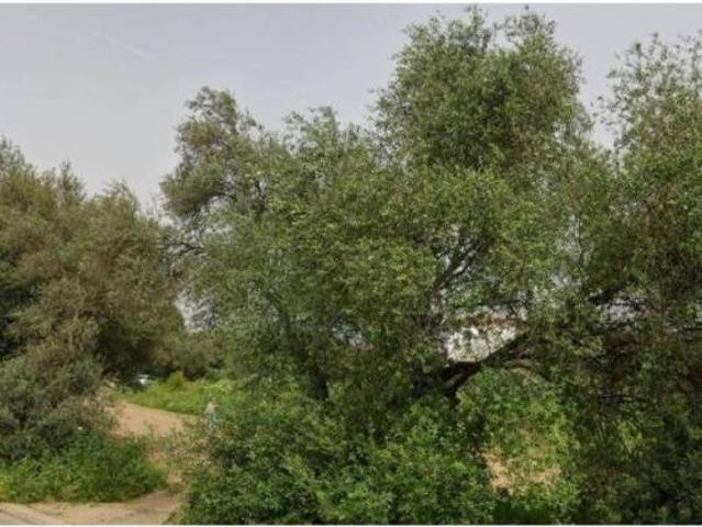 Terreno en venta en El Andévalo, Andalucía