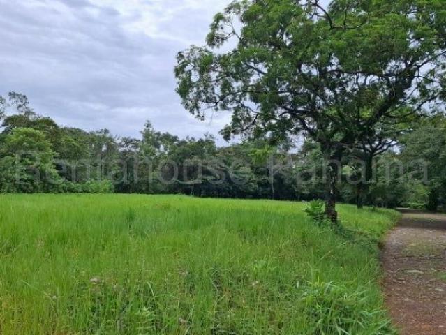 Terreno venta en Caldera, Boquete